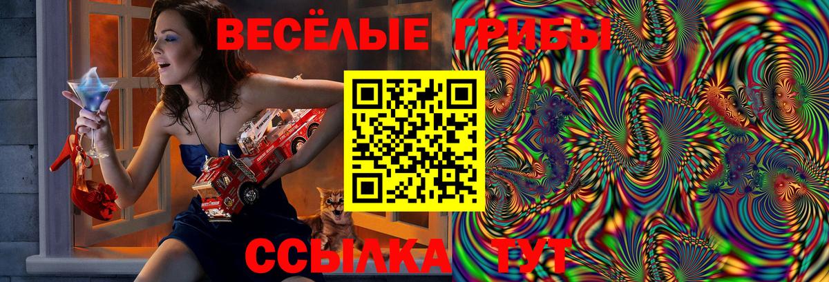 Азнакаево  Псилоцибиновые грибы MAGIC MUSHROOMS  Вход с VPN  Галлюциногенные грибы мухоморы 